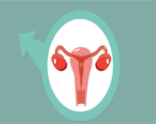 33岁青岛做试管供卵代生成功率有多少呢